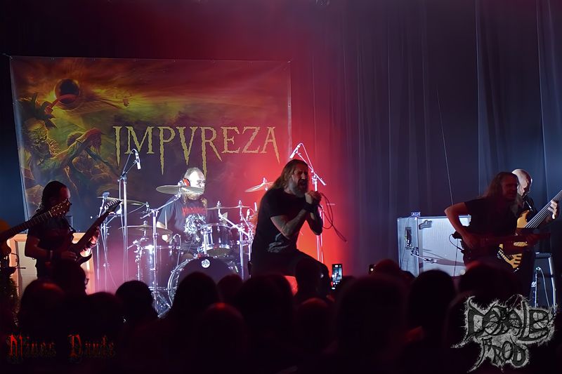 IMPUREZA 9.jpg (58 KB)