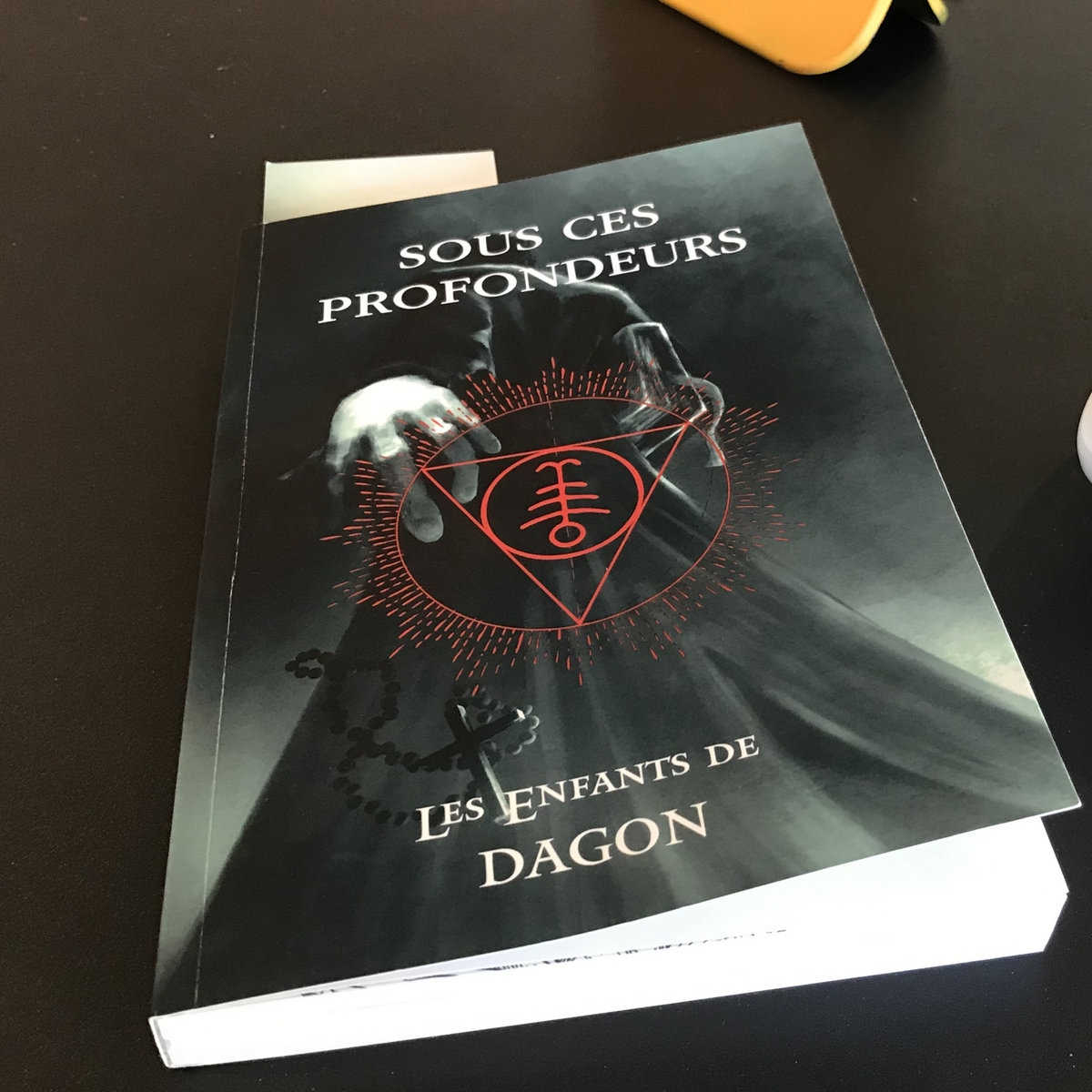 LES ENFNATS DE DAGON LIVRE.jpg (212 KB)