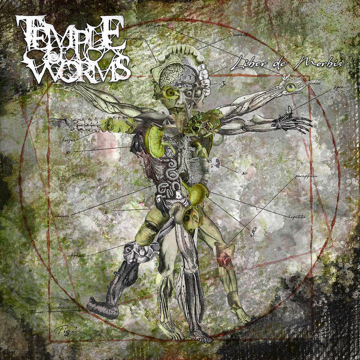 TEMPLE OF WORMS COVER.jpg (164 KB)