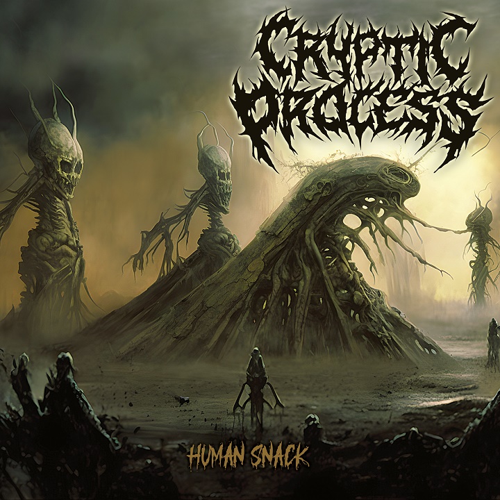cryptic process cover.jpg (216 KB)