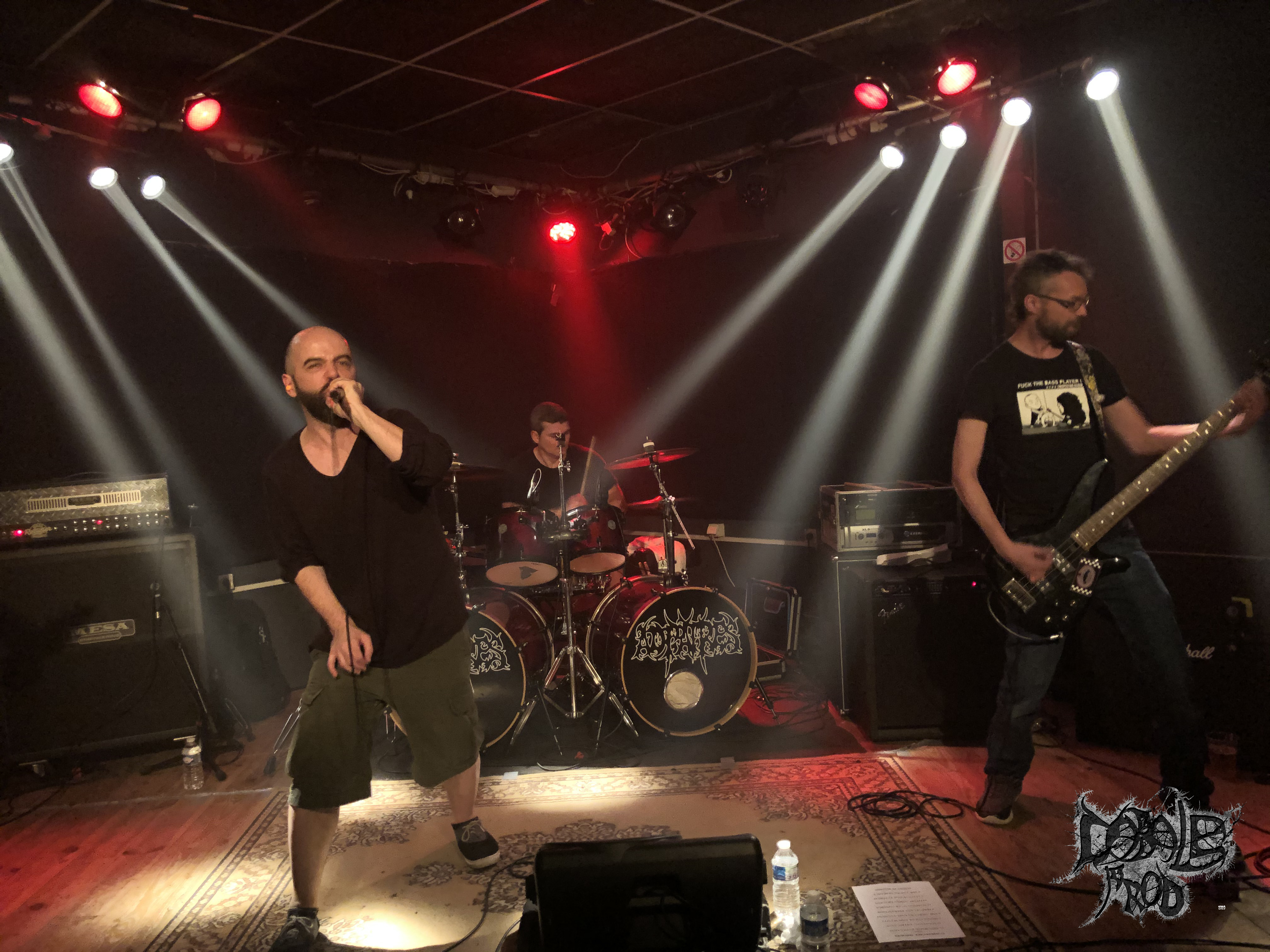 CARBON SEED 005.jpg (3.59 MB)