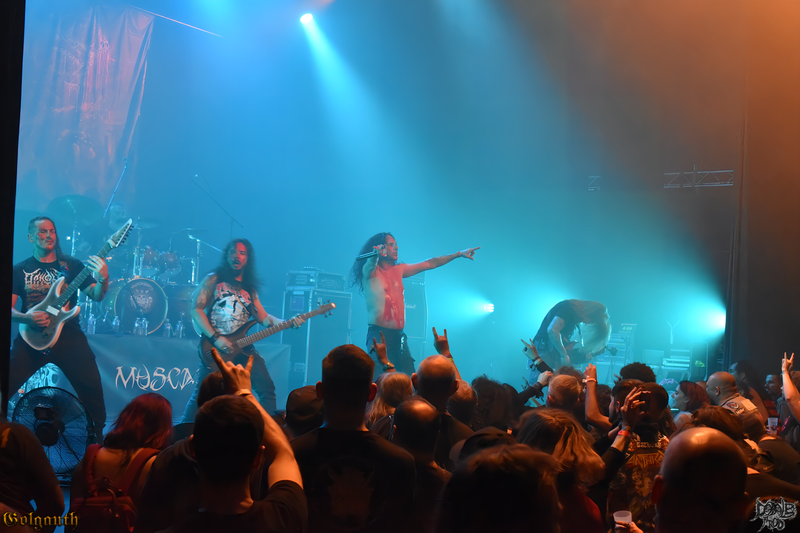 Avulsed (10).png (519 KB)