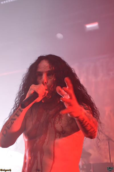 Avulsed (8).png (260 KB)