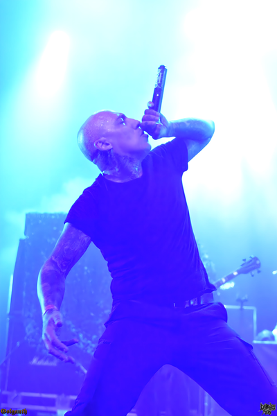 Gurkkhas (1).png (213 KB)