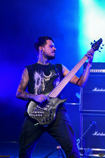 Kanine (2).png (333 KB)