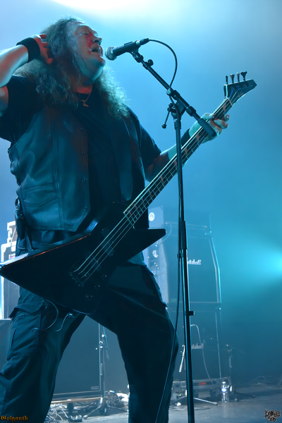 Unleashed (5).png (314 KB)