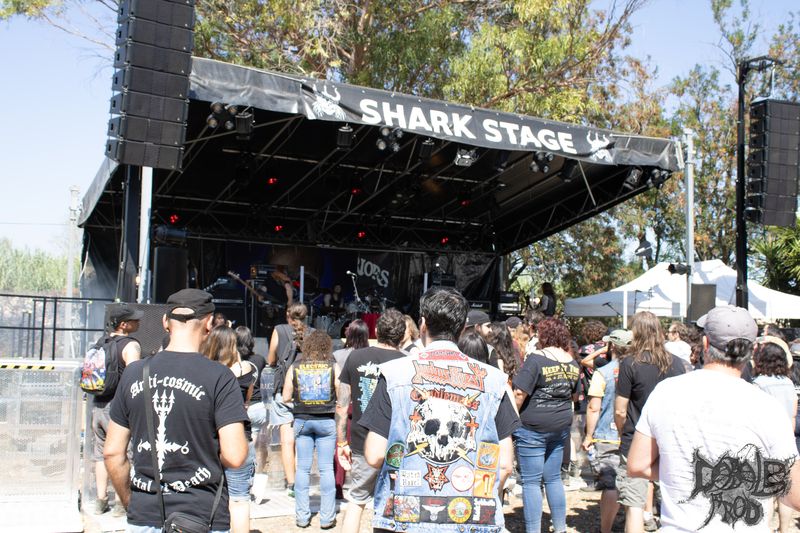 SACRAL NIGHT1.jpg (167 KB)