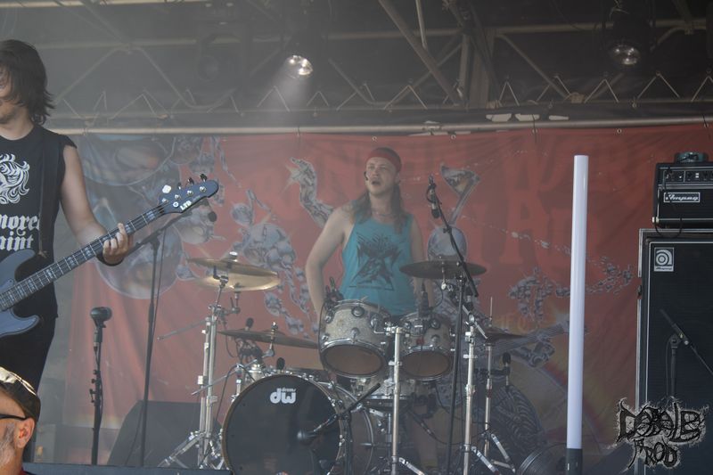 SIN STARLETT15.jpg (91 KB)